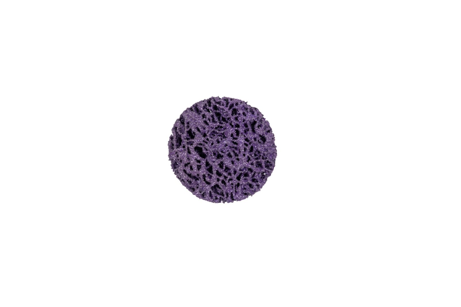 Clean & Strip Quick Change Disc