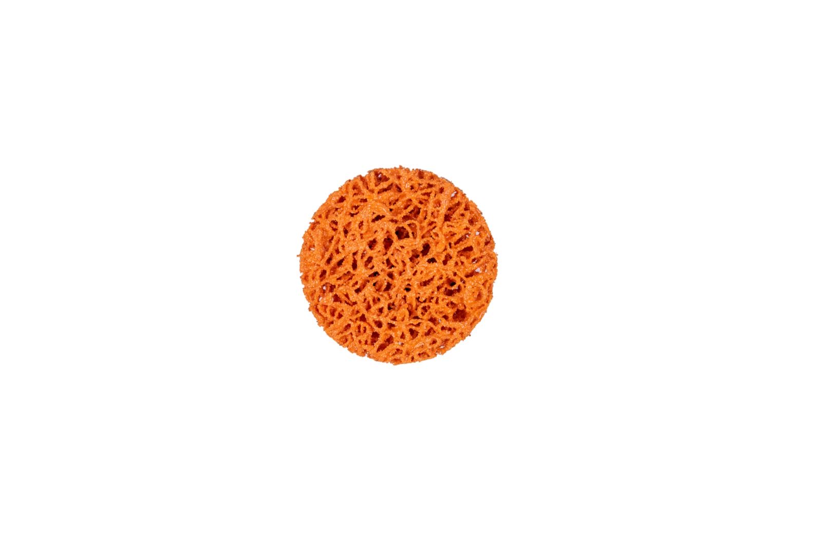 Clean & Strip Quick Change Disc